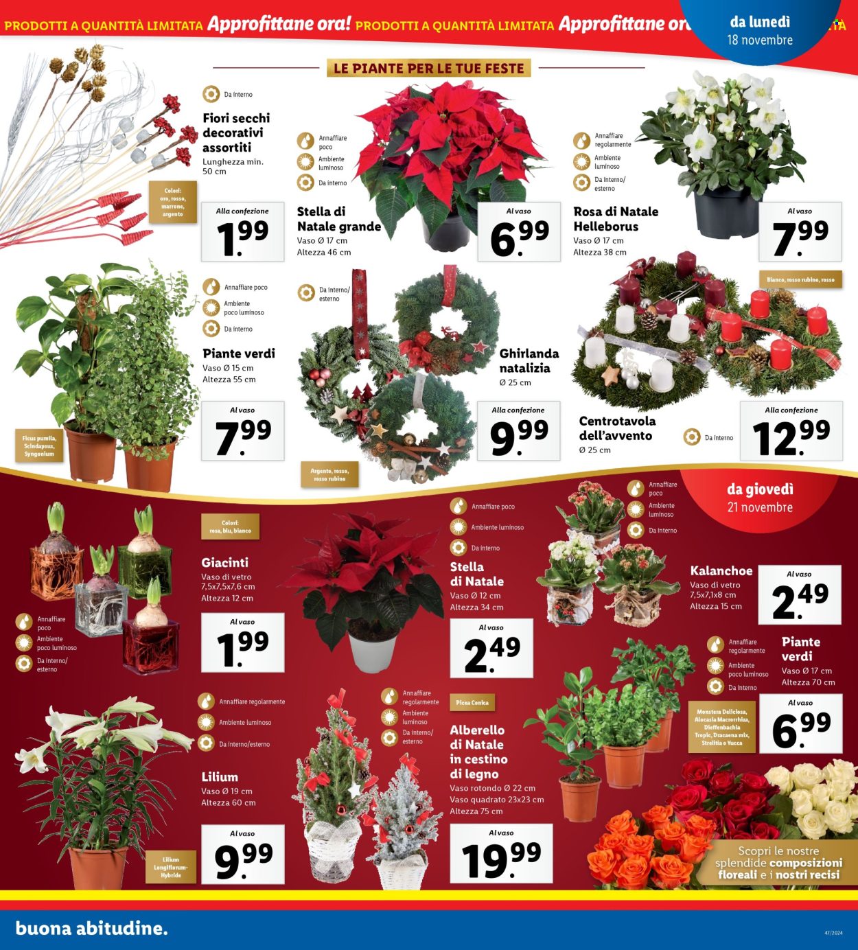 Volantino Lidl - 18/11/2024 - 24/11/2024. Pagina 17