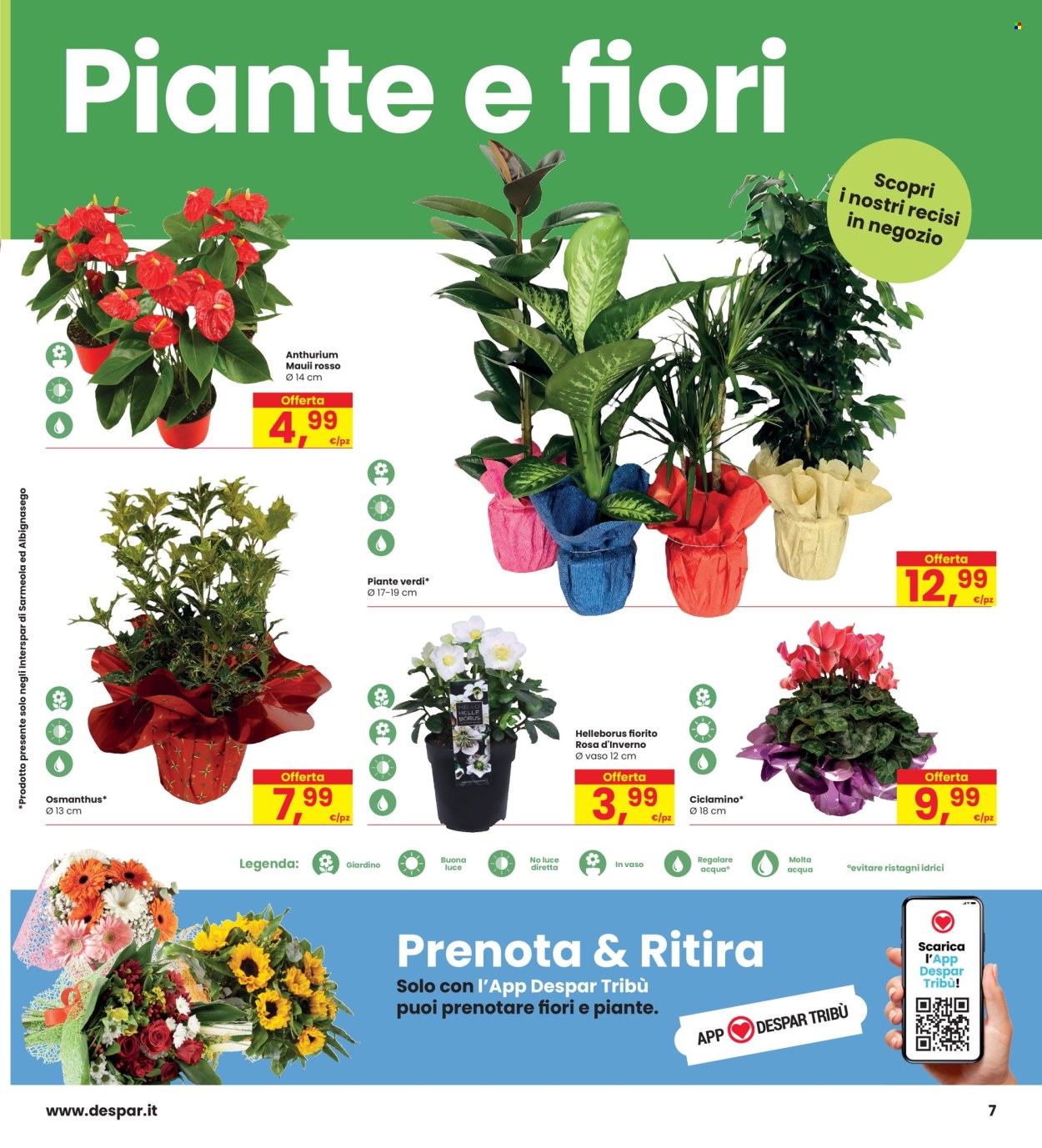 Volantino Interspar - 21/11/2024 - 4/12/2024. Pagina 7