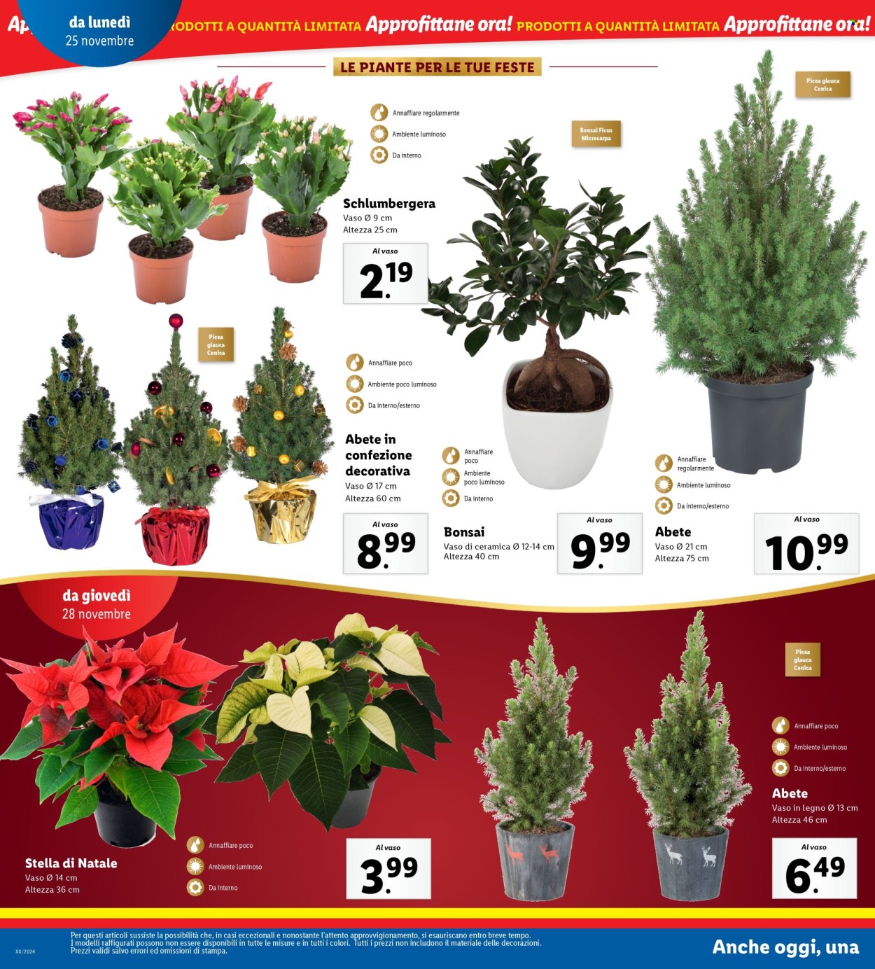 Volantino Lidl - 25/11/2024 - 1/12/2024. Pagina 36