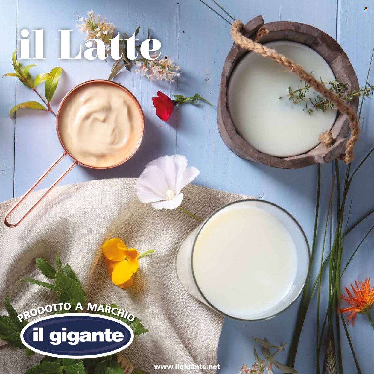 Volantino Il Gigante - 25/11/2024 - 12/1/2025. Pagina 6