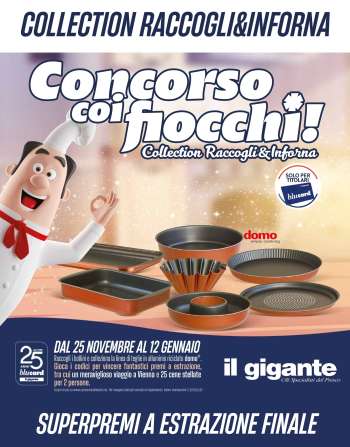 Volantino Il Gigante - 25/11/2024 - 12/1/2025.