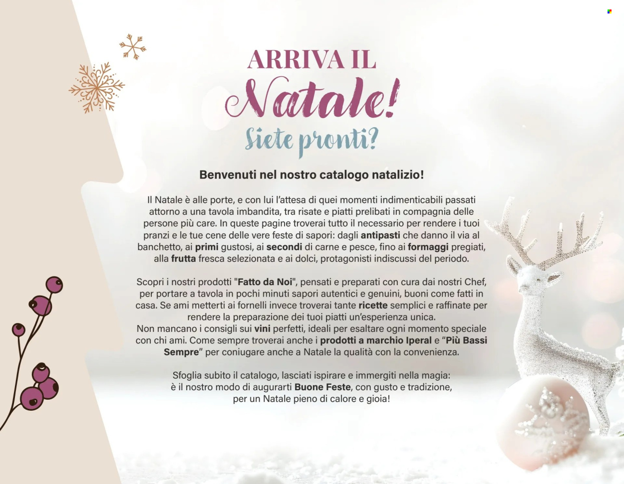 Volantino Iperal - 28/11/2024 - 31/12/2024. Pagina 2