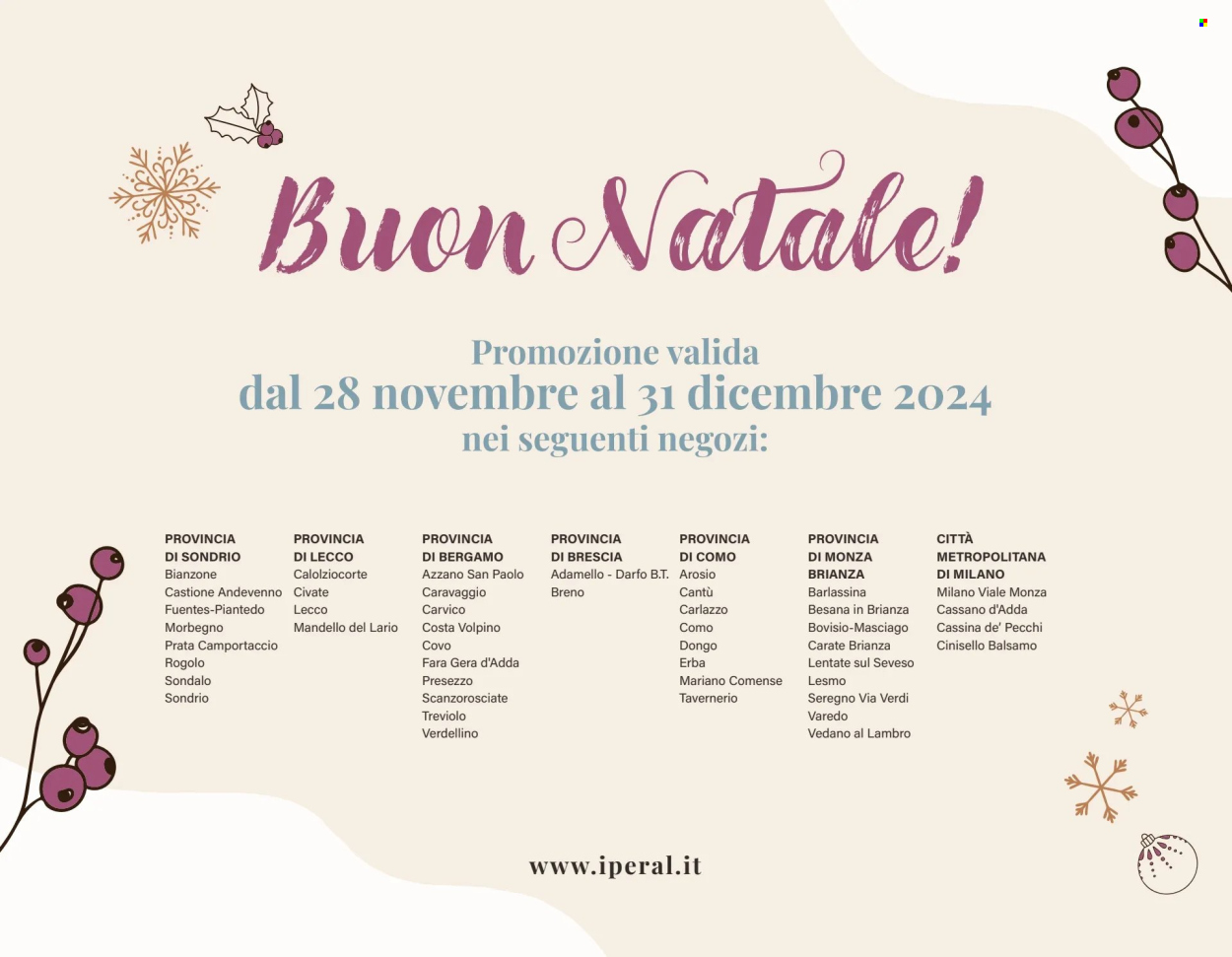 Volantino Iperal - 28/11/2024 - 31/12/2024. Pagina 39