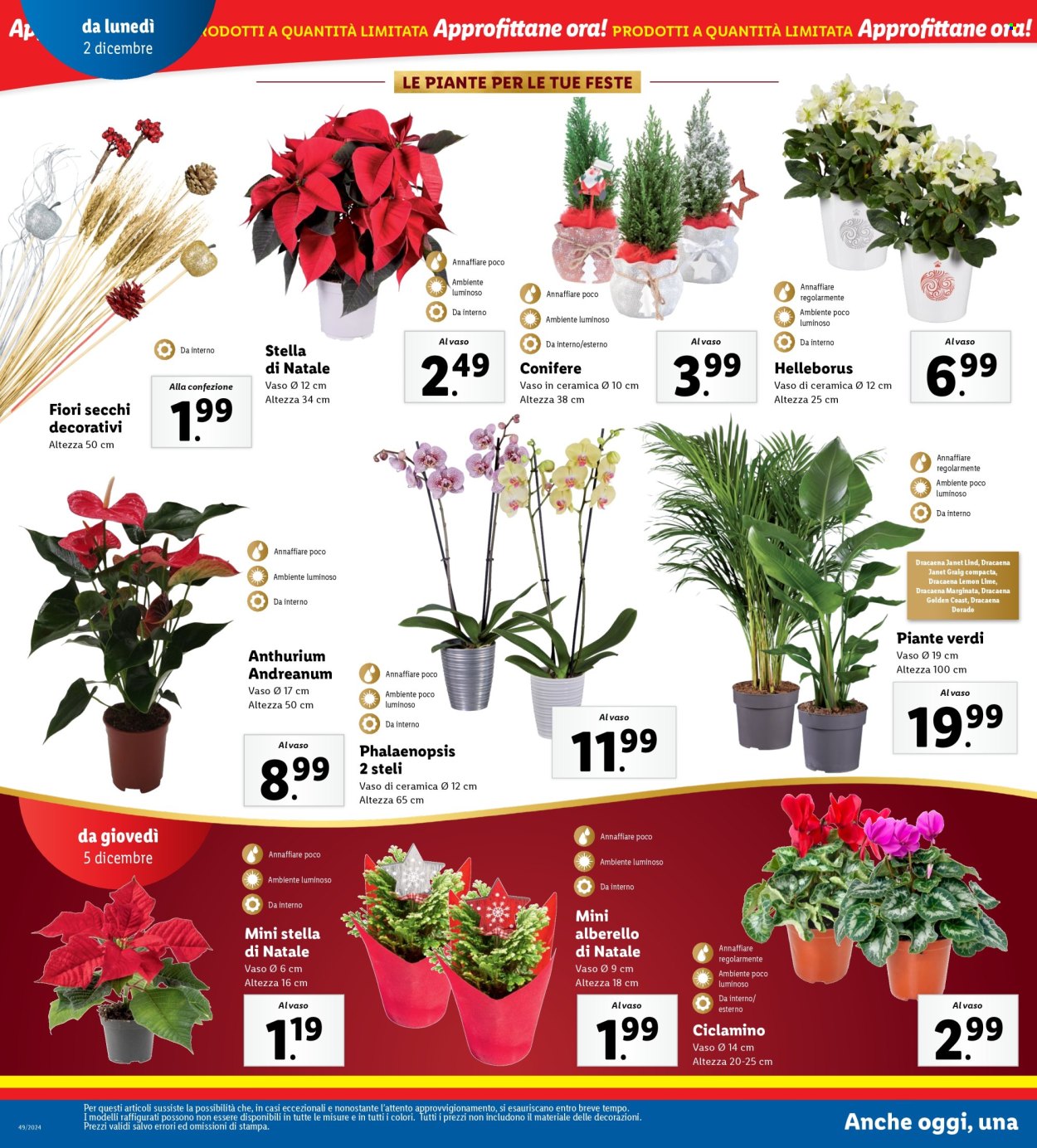 Volantino Lidl - 2/12/2024 - 8/12/2024. Pagina 30