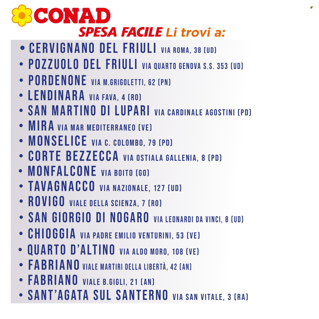 Volantino Spesa Facile Conad - 1/12/2024 - 31/12/2024. Pagina 8