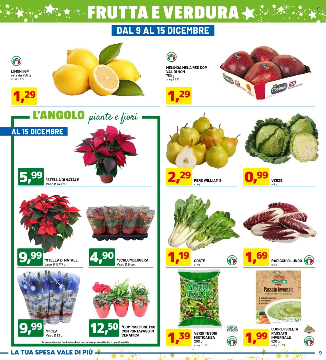 Volantino Dpiù - 2/12/2024 - 15/12/2024. Pagina 9