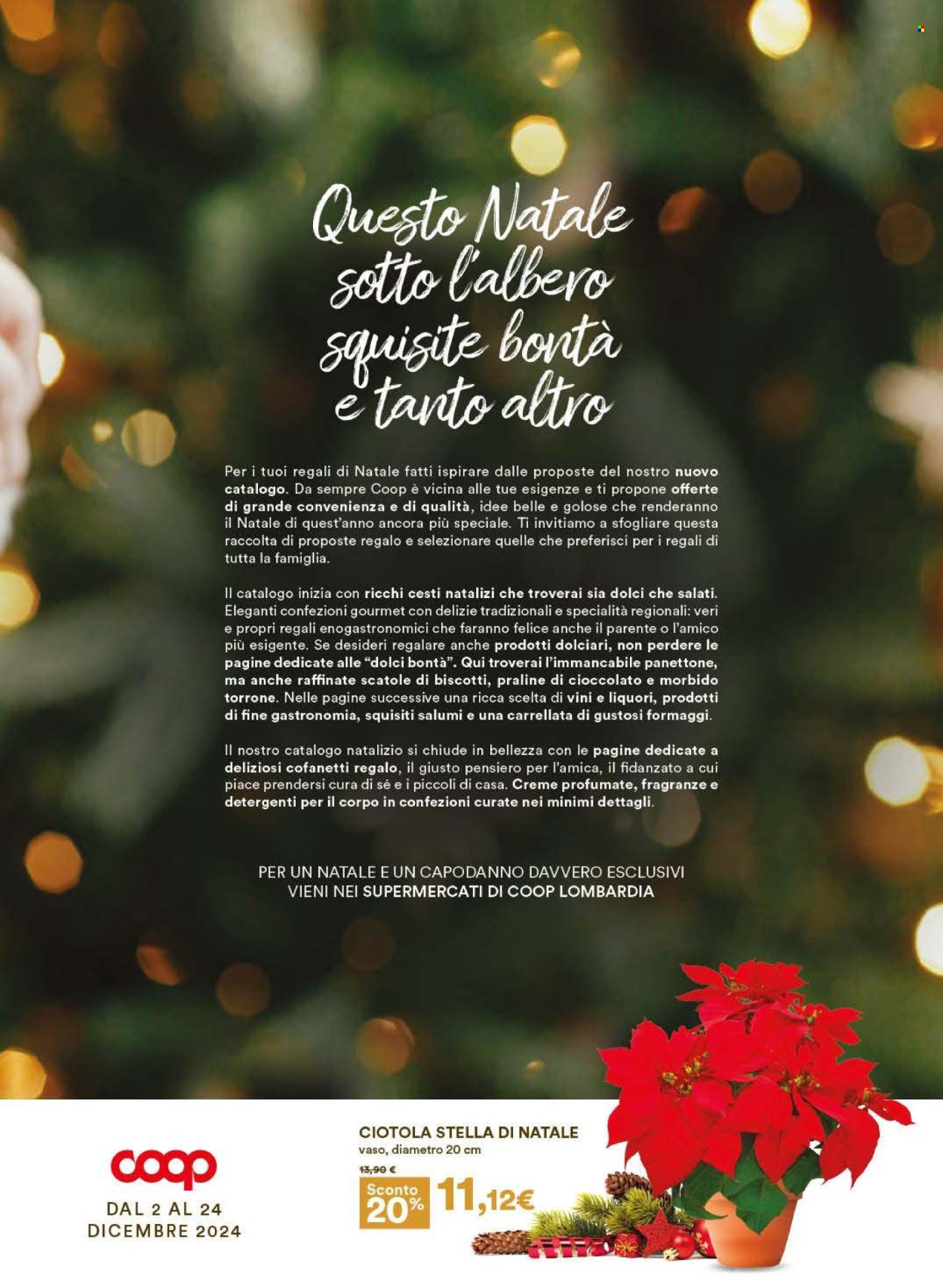 Leták Coop - 2.12.2024 - 24.12.2024. Strana 3