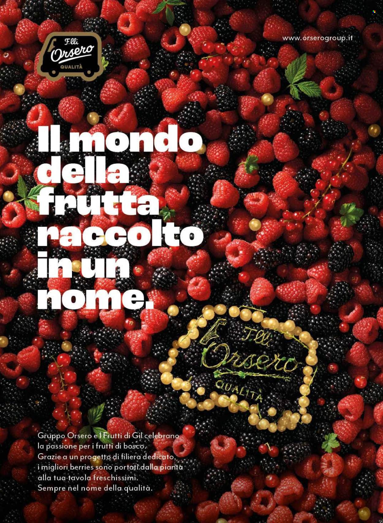 Leták Coop - 2.12.2024 - 24.12.2024. Strana 43