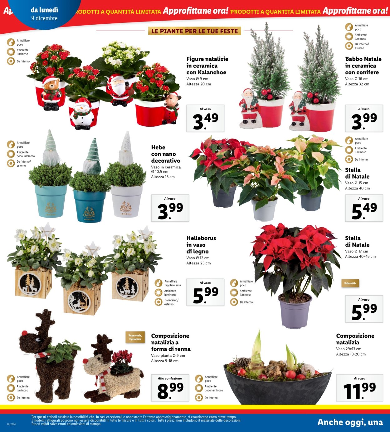 Volantino Lidl - 9/12/2024 - 15/12/2024. Pagina 38