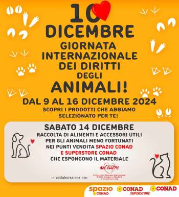 Volantino Conad - 9/12/2024 - 16/12/2024.