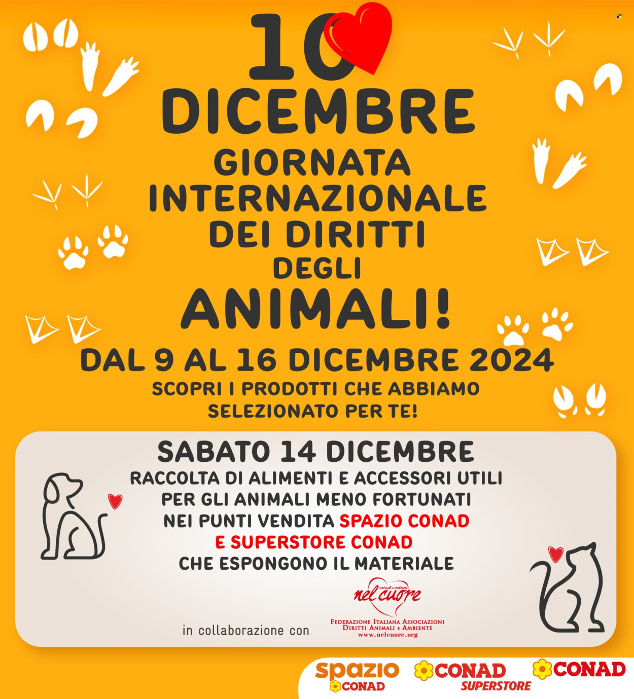Leták Conad - 9.12.2024 - 16.12.2024. Strana 1