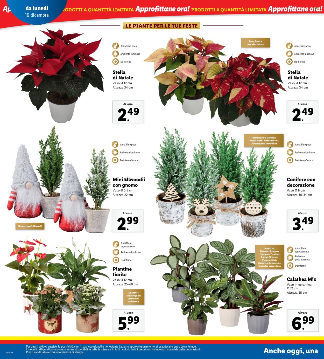 Leták Lidl - 16.12.2024 - 22.12.2024. Strana 34