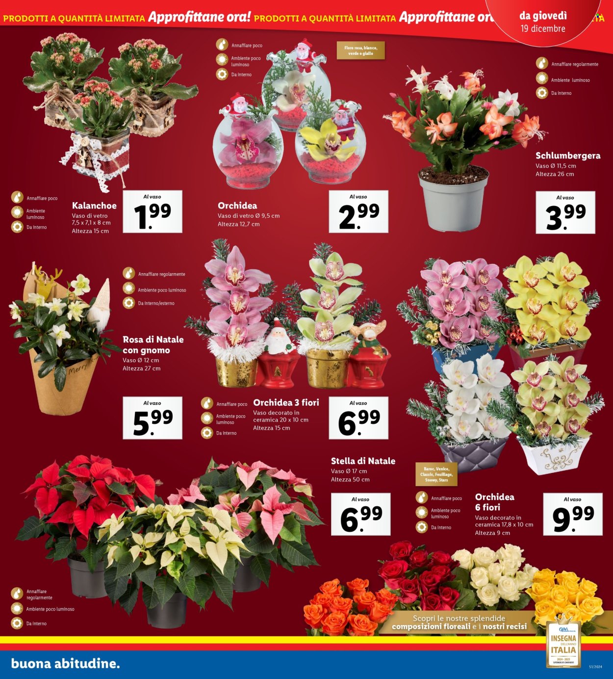 Leták Lidl - 16.12.2024 - 22.12.2024. Strana 35
