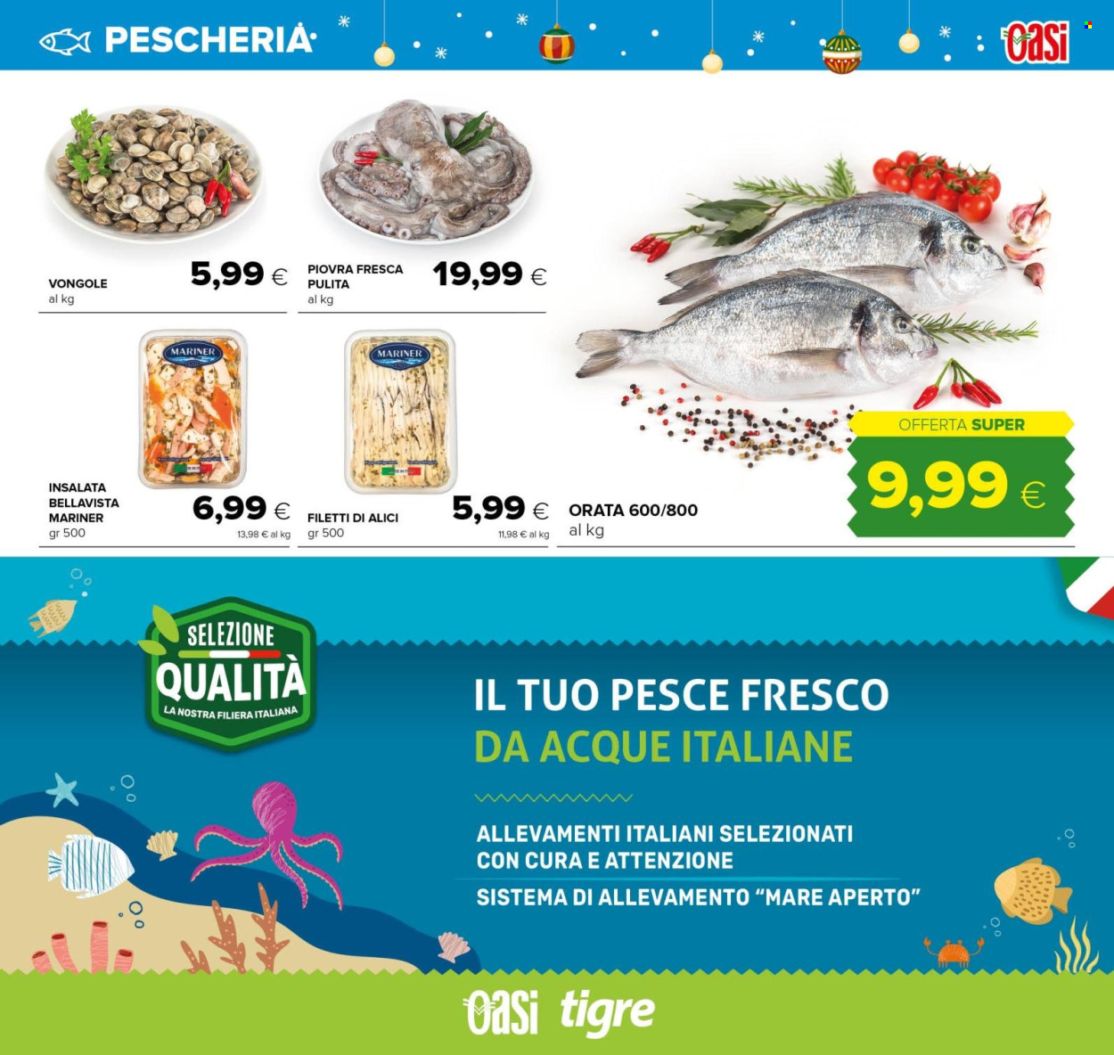 Volantino Oasi - 18/12/2024 - 31/12/2024. Pagina 19