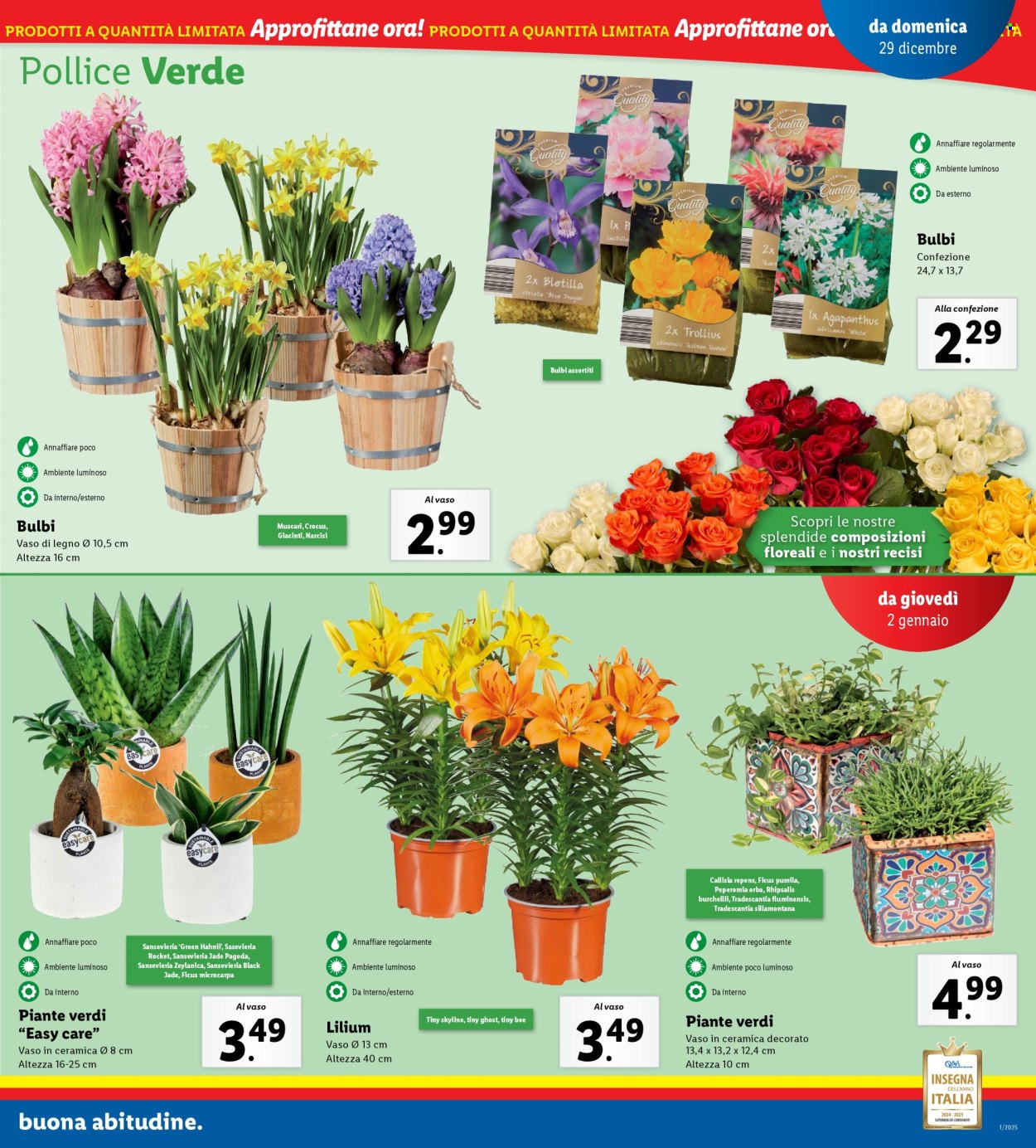 Volantino Lidl - 29/12/2024 - 5/1/2025. Pagina 25