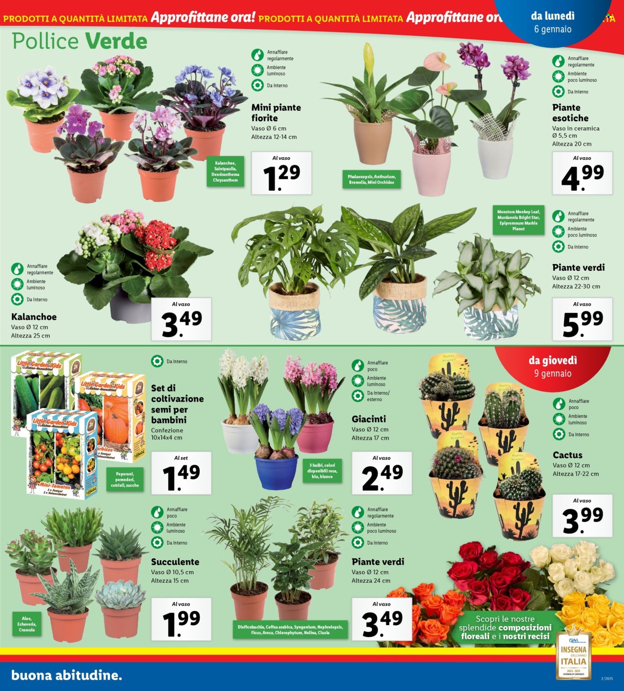 Leták Lidl - 6.1.2025 - 12.1.2025. Strana 19