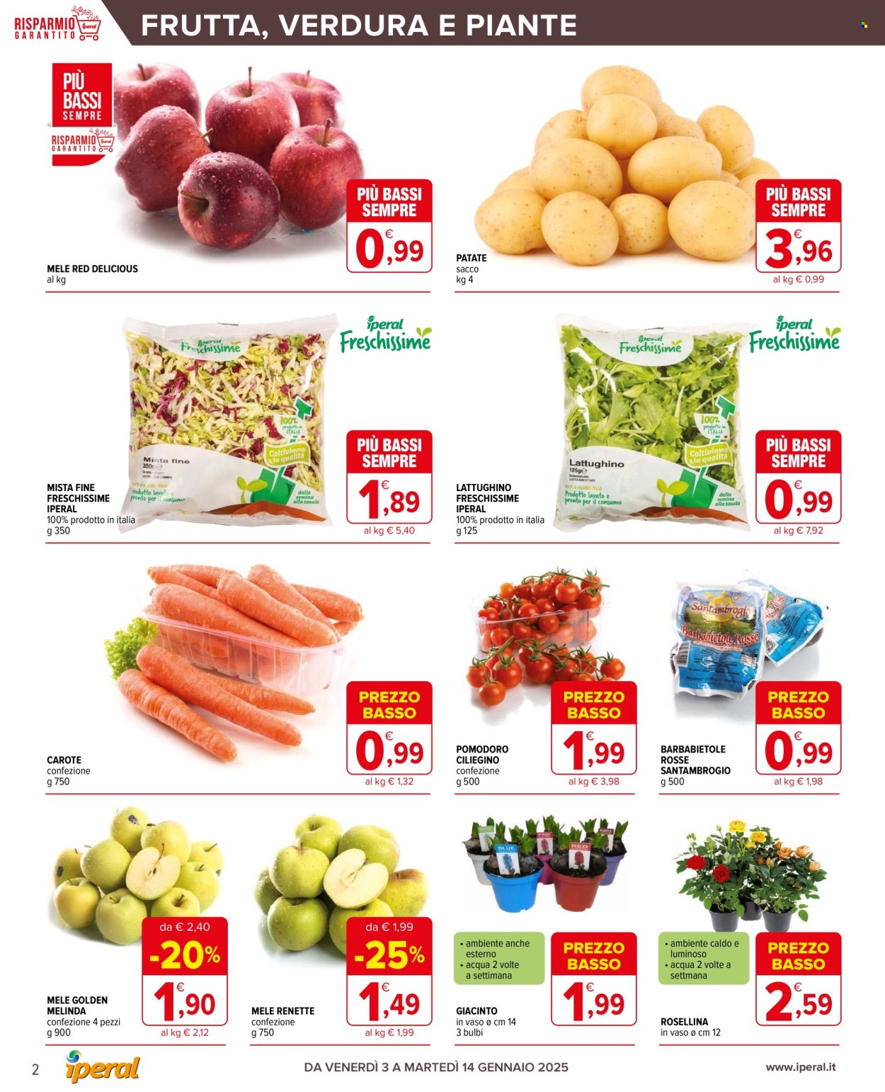Volantino Iperal - 3/1/2025 - 14/1/2025. Pagina 2