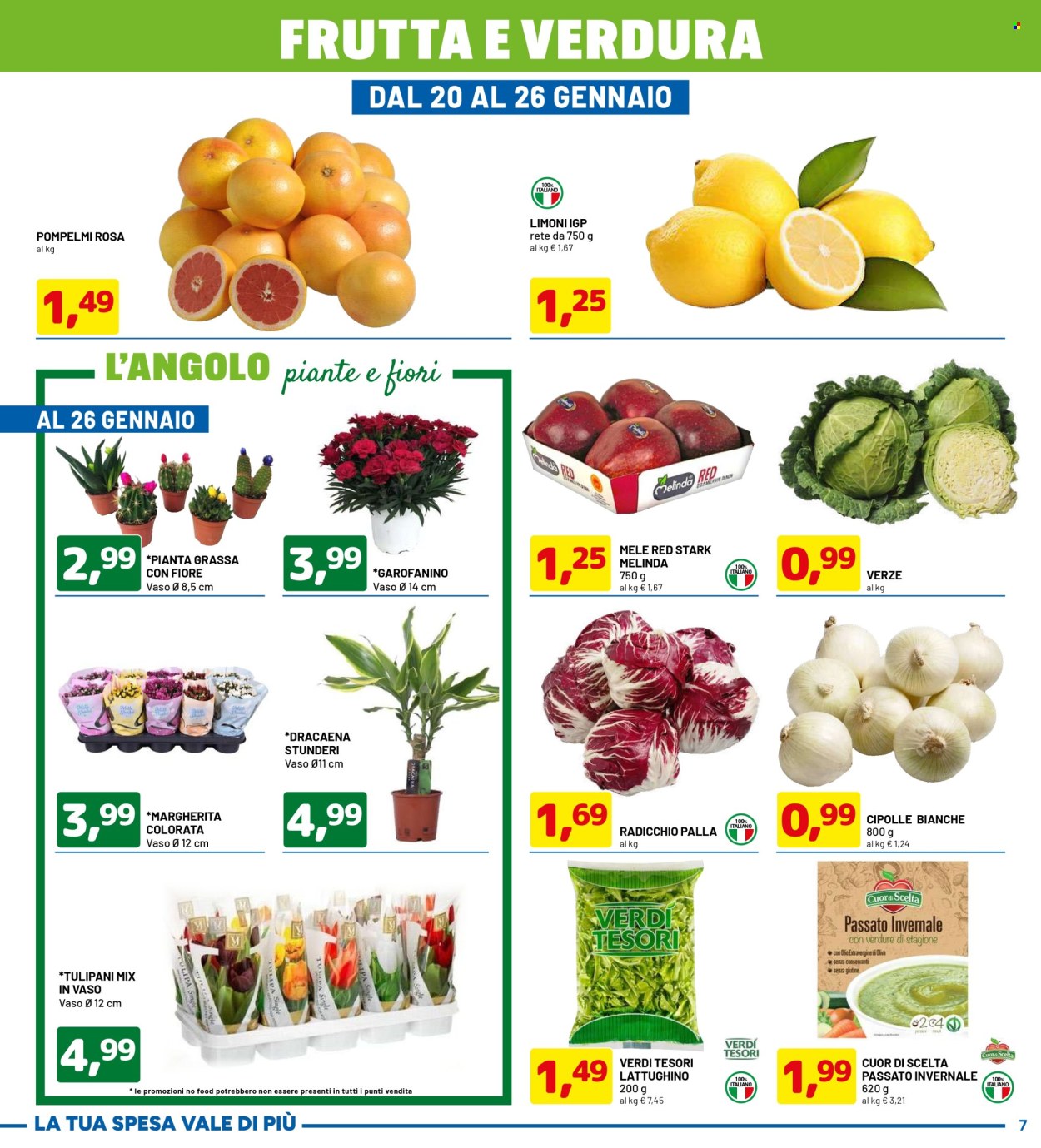Volantino Dpiù - 13/1/2025 - 26/1/2025. Pagina 7
