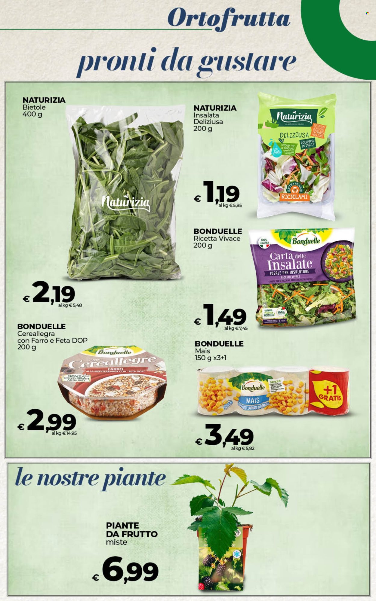 Volantino Coop - 25/1/2025 - 3/2/2025. Pagina 19
