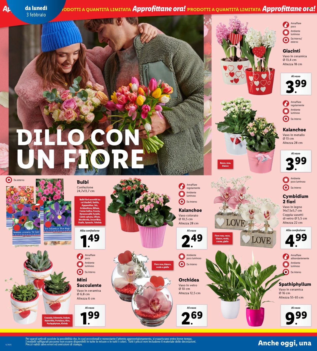 Volantino Lidl - 3/2/2025 - 9/2/2025. Pagina 24