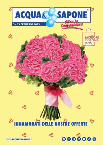 Volantino Acqua & Sapone - 5/2/2025 - 23/2/2025.