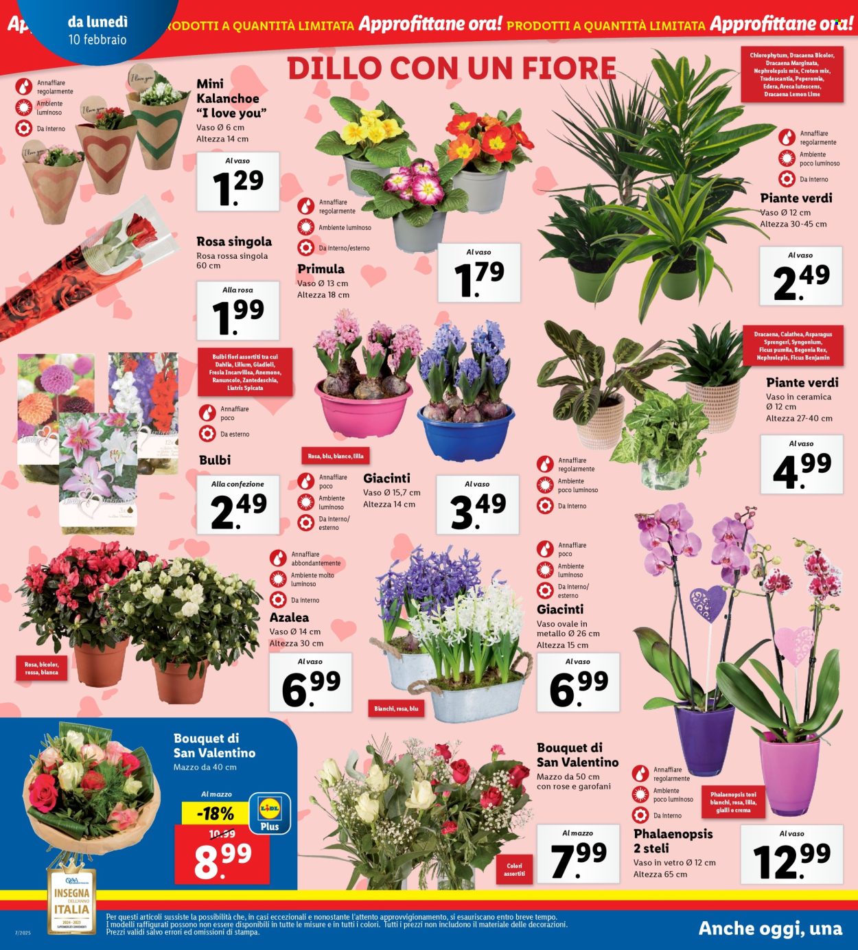 Volantino Lidl - 10/2/2025 - 16/2/2025. Pagina 20