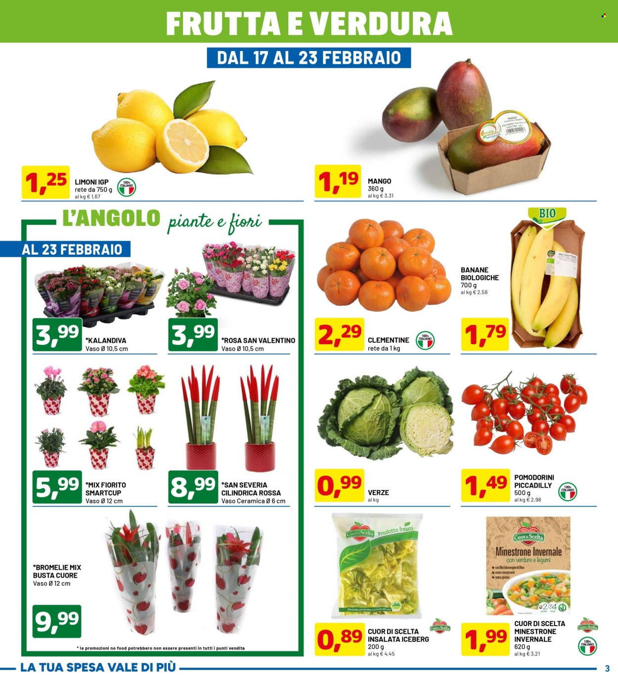 Volantino Dpiù - 10/2/2025 - 23/2/2025. Pagina 3