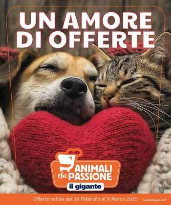 Volantino Il Gigante - 10/2/2025 - 9/3/2025.