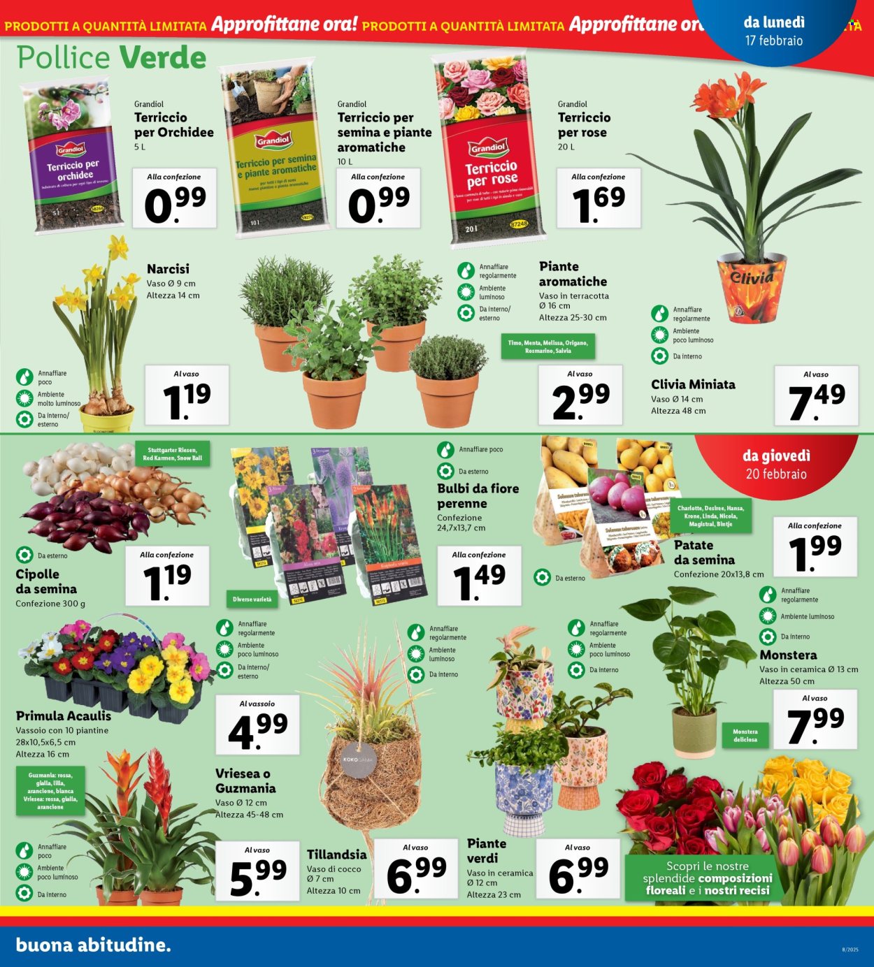 Volantino Lidl - 17/2/2025 - 23/2/2025. Pagina 33