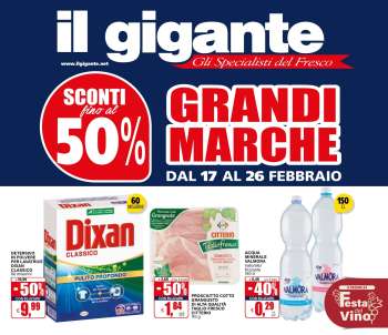 Volantino Il Gigante - 17/2/2025 - 26/2/2025.
