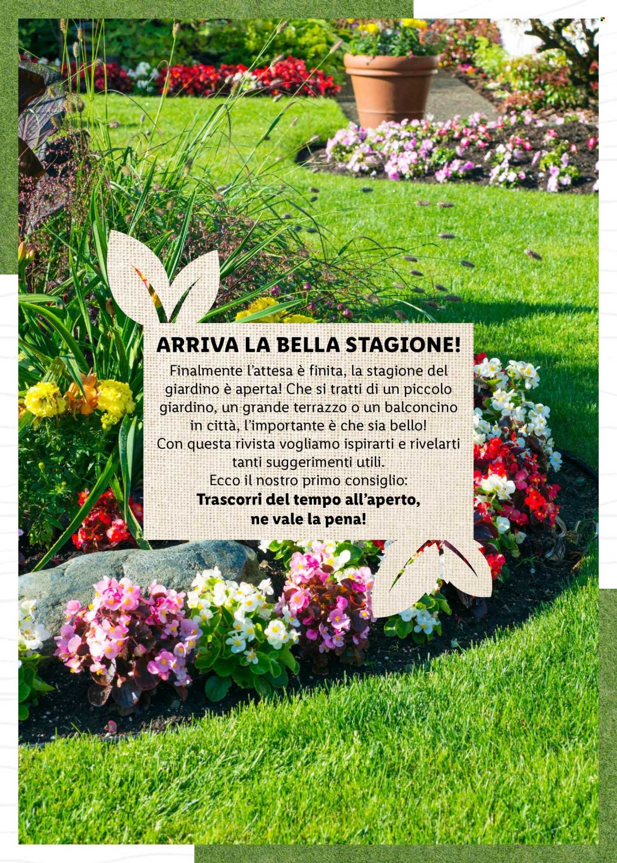 Volantino Lidl. Pagina 2