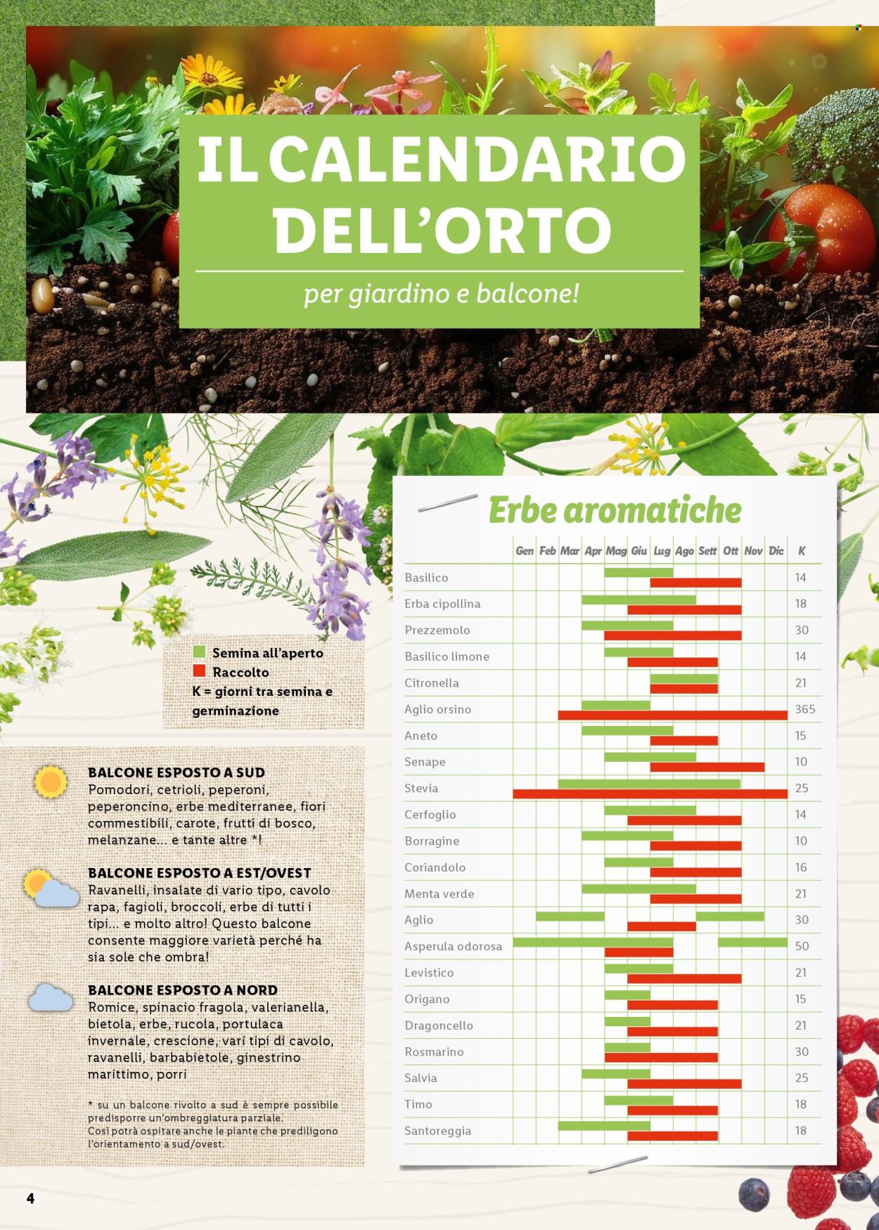 Volantino Lidl. Pagina 4