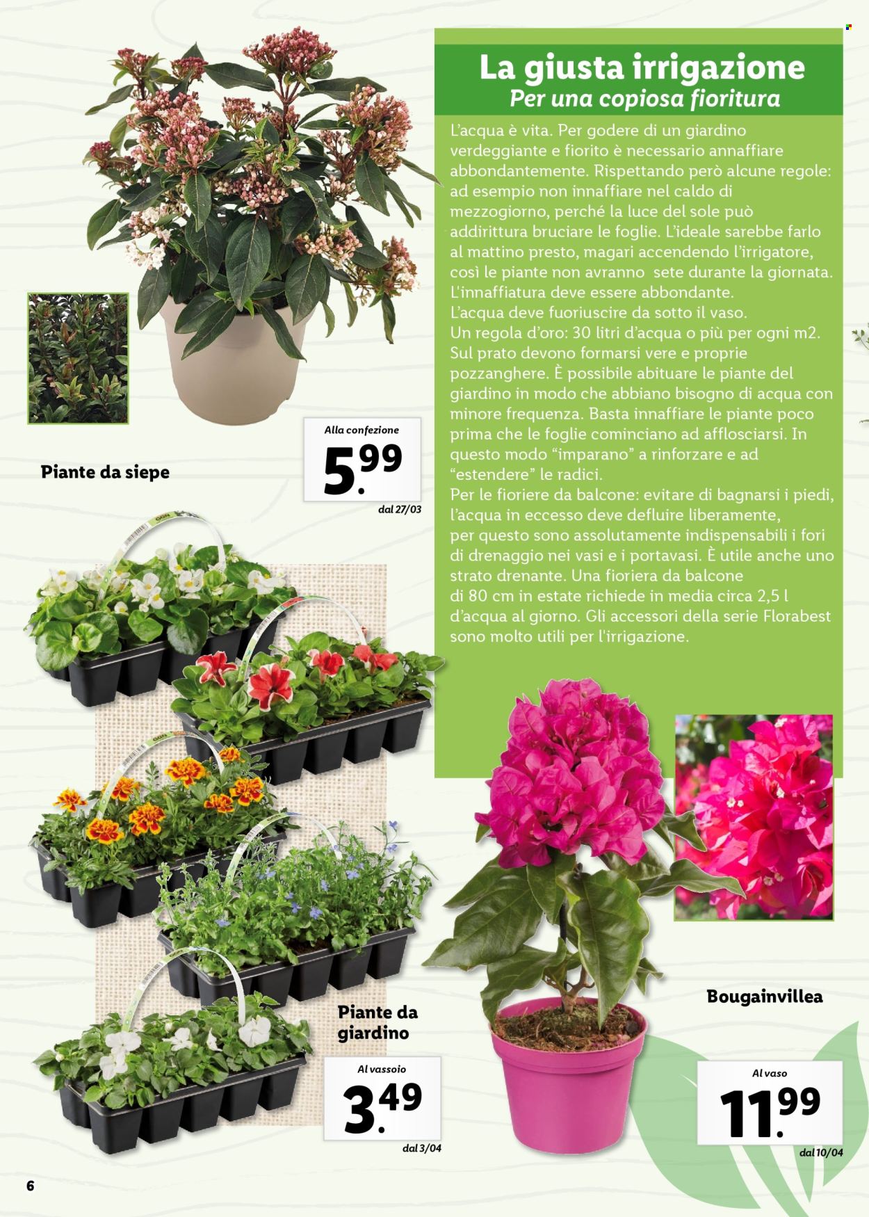 Volantino Lidl. Pagina 6