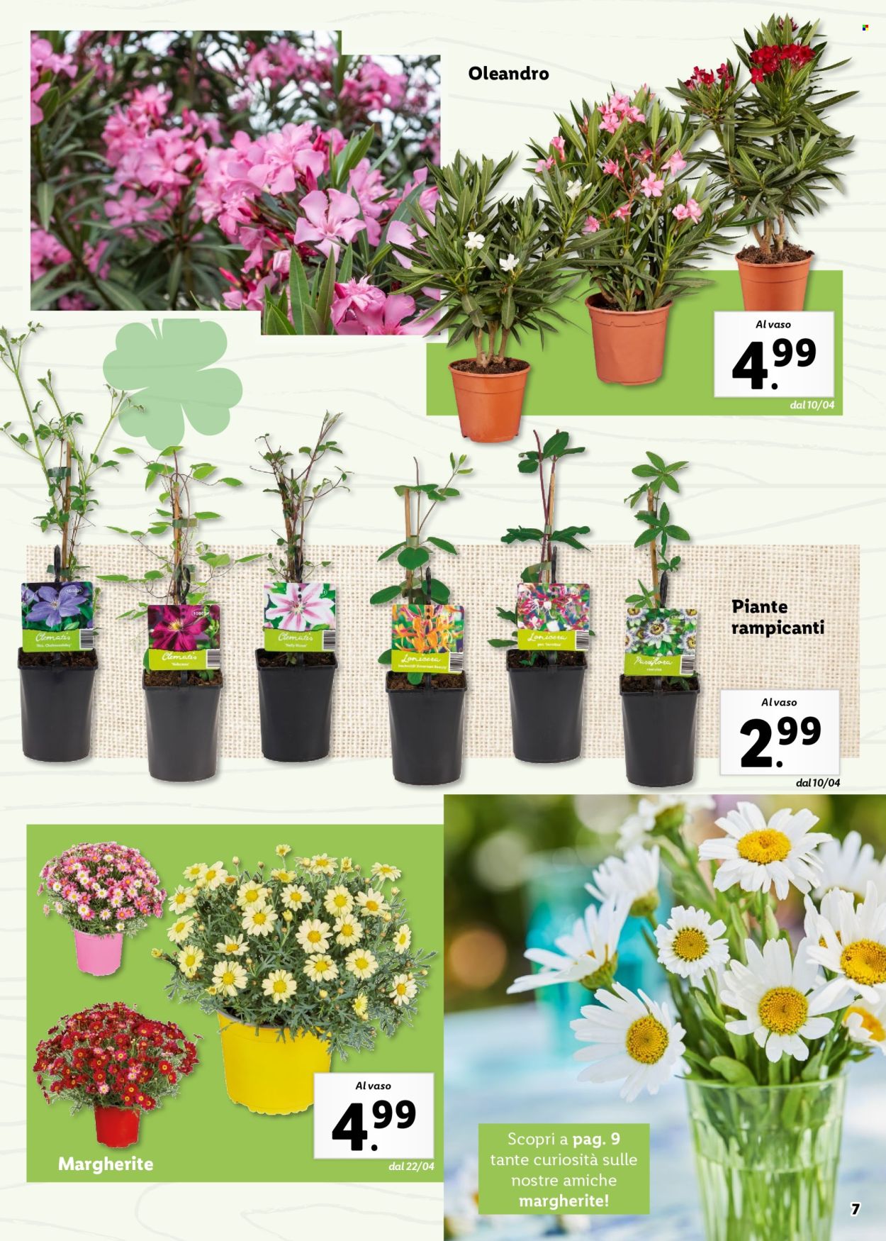 Volantino Lidl. Pagina 7