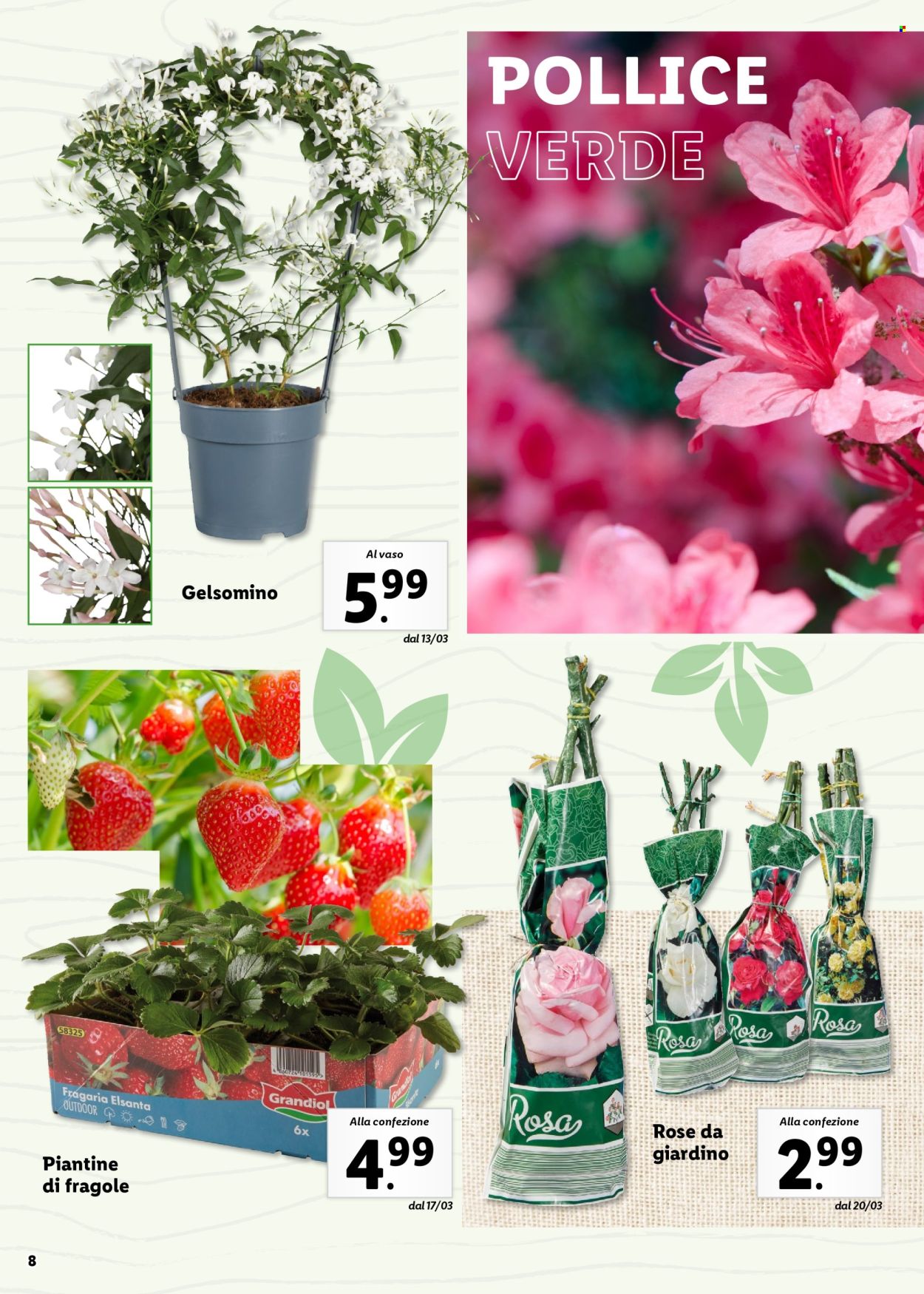 Volantino Lidl. Pagina 8