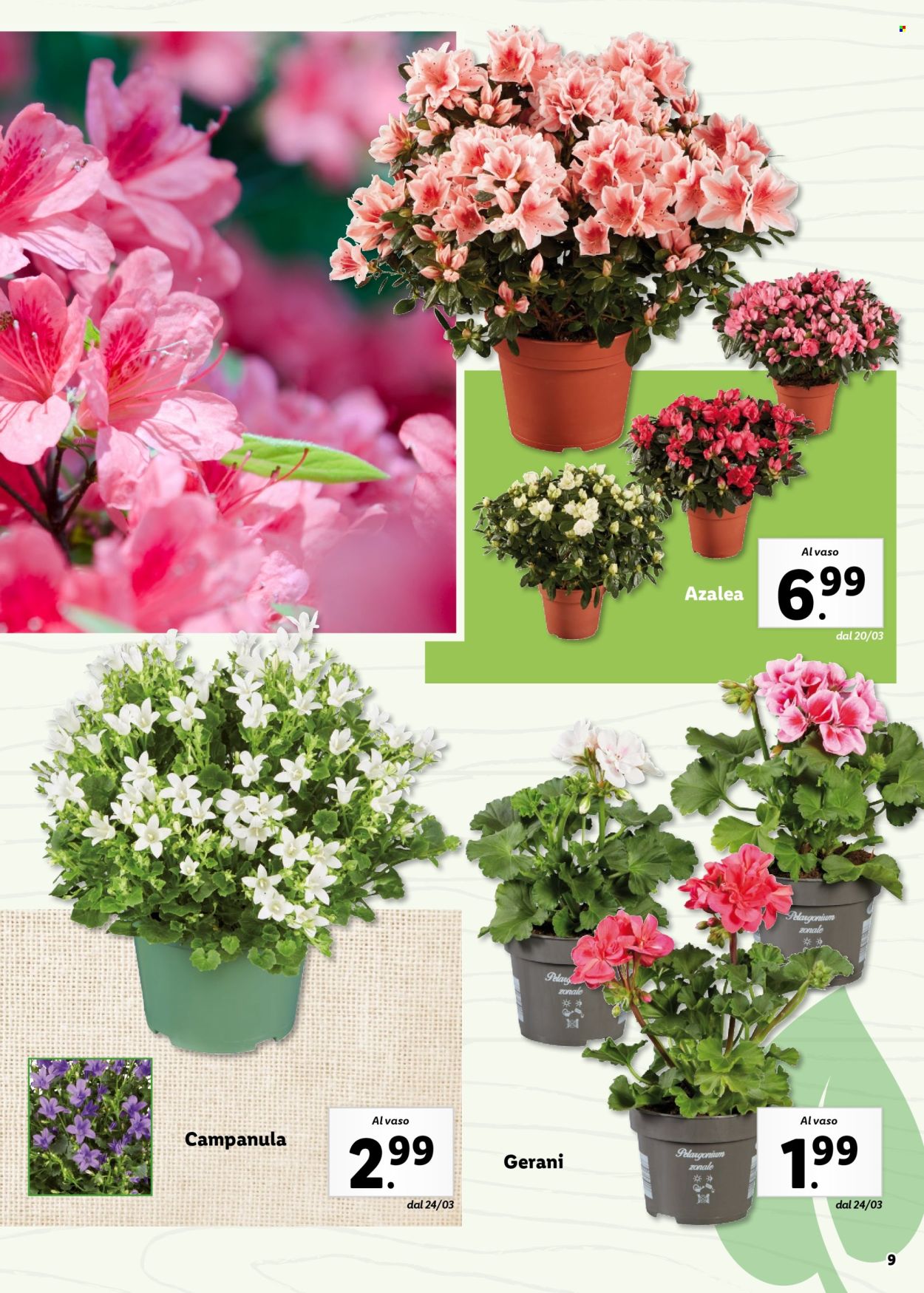 Volantino Lidl. Pagina 9
