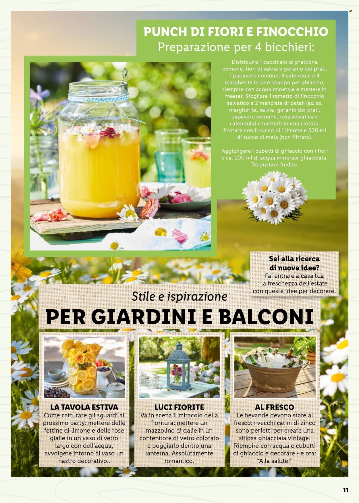Volantino Lidl. Pagina 11