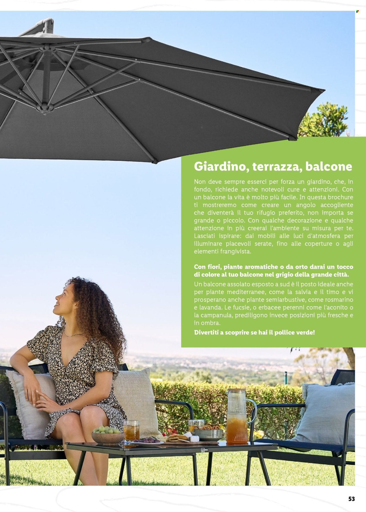 Volantino Lidl. Pagina 53