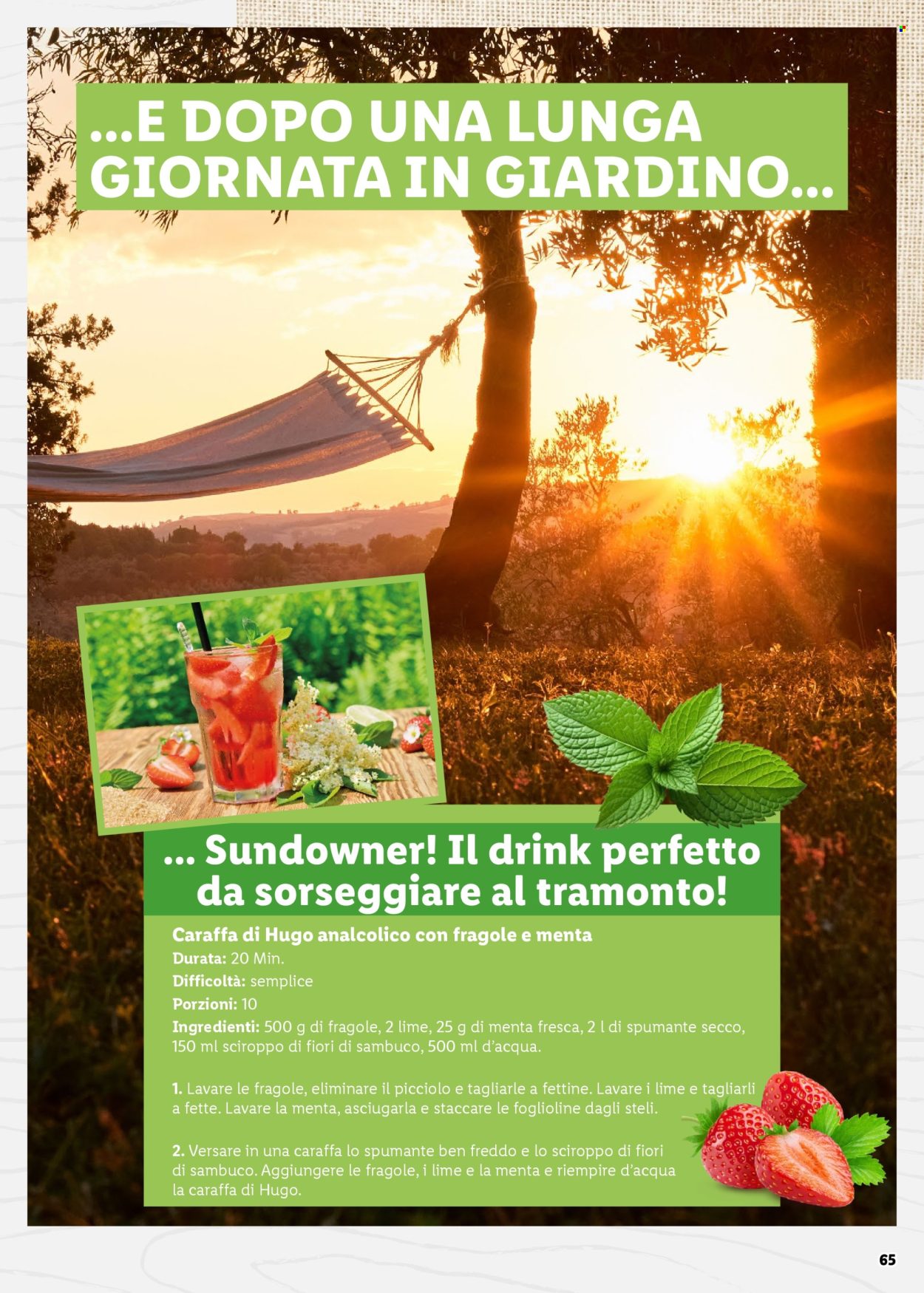 Volantino Lidl. Pagina 65