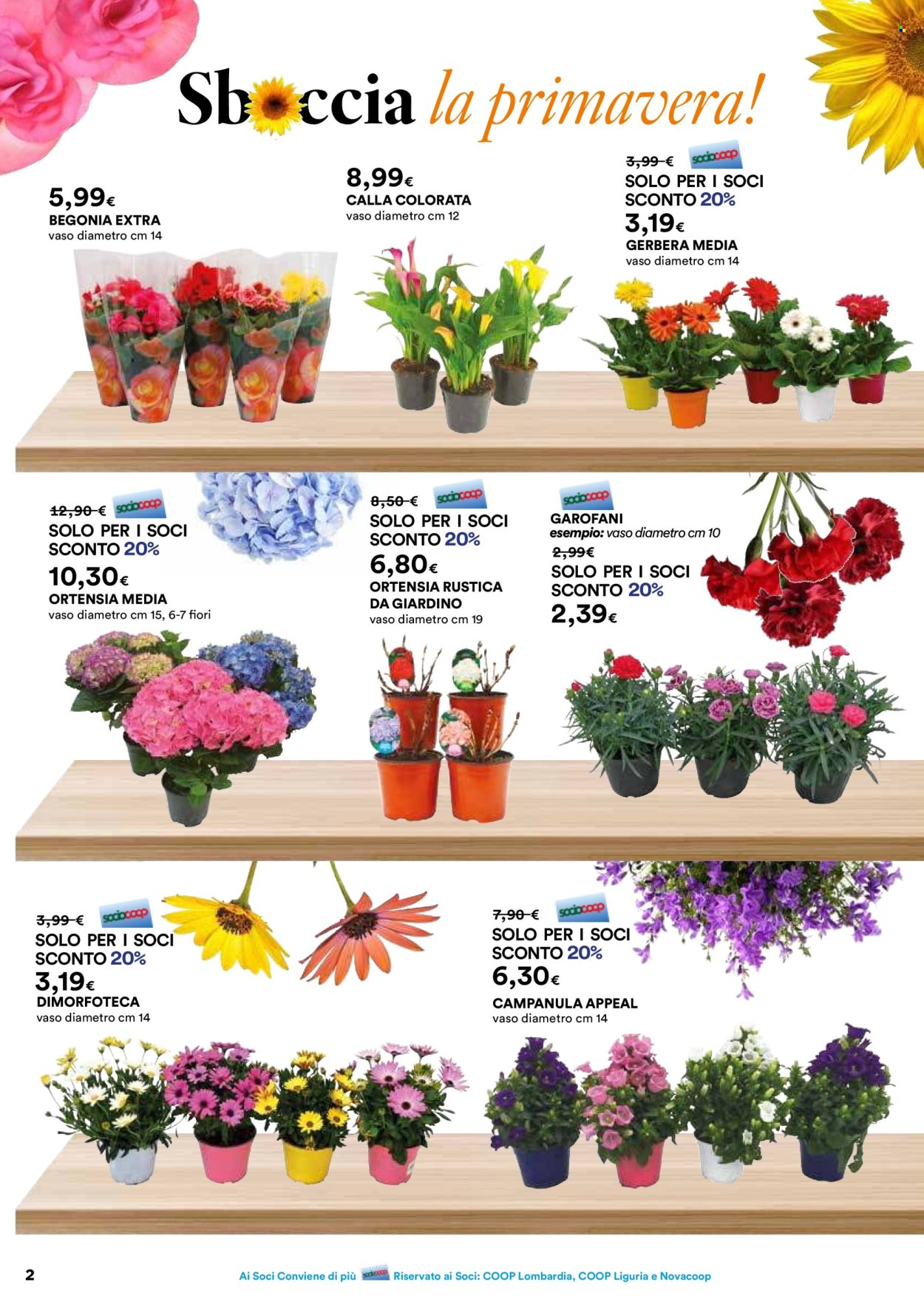 Volantino Coop - 20/2/2025 - 26/3/2025. Pagina 2