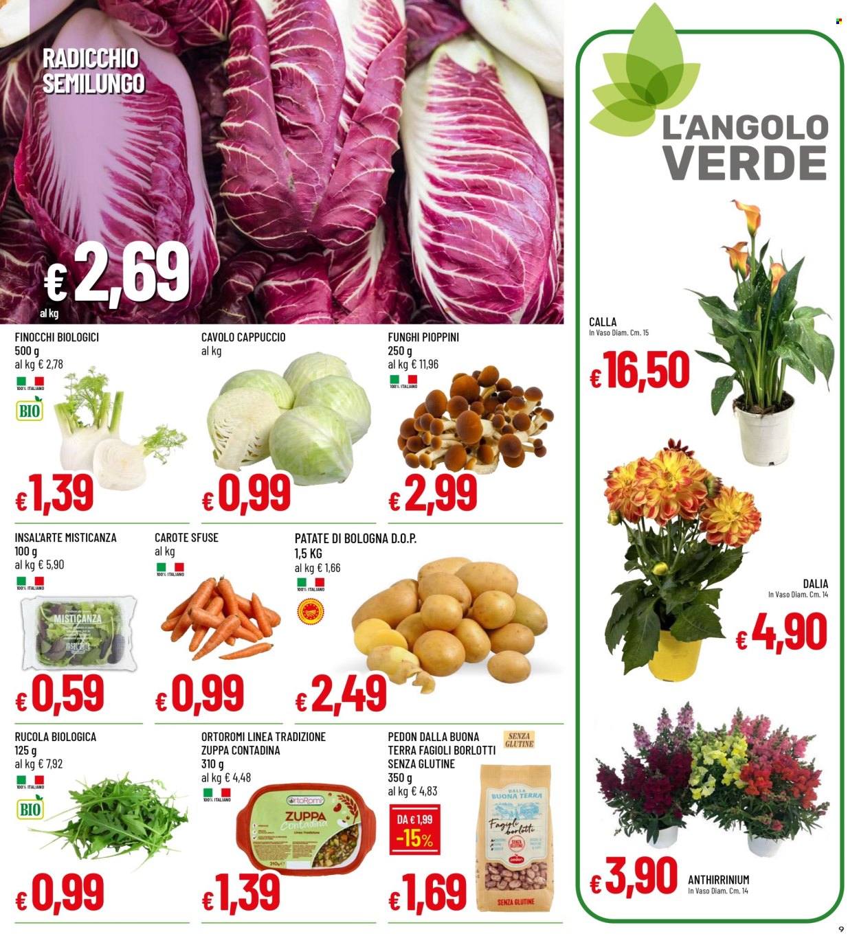 Volantino Famila - 27/2/2025 - 12/3/2025. Pagina 9