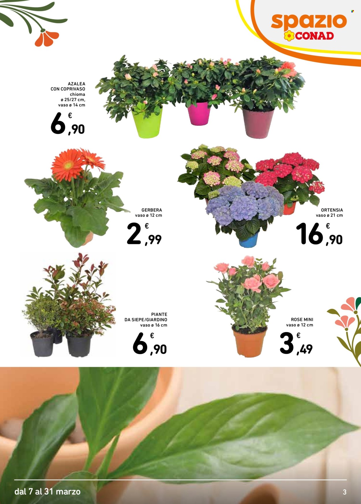 Volantino Spazio Conad - 7/3/2025 - 31/3/2025. Pagina 3