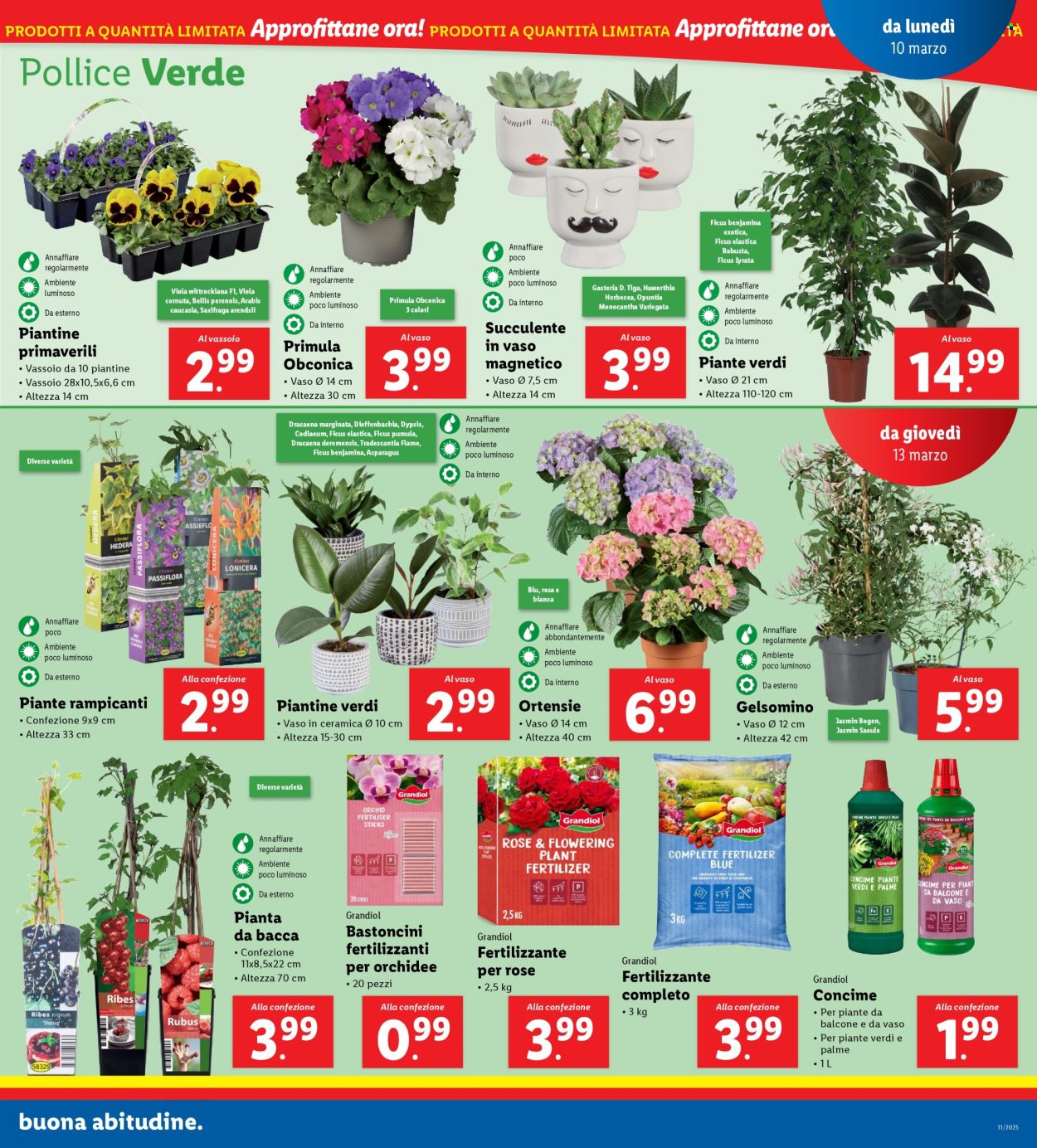 Volantino Lidl - 10/3/2025 - 16/3/2025. Pagina 25