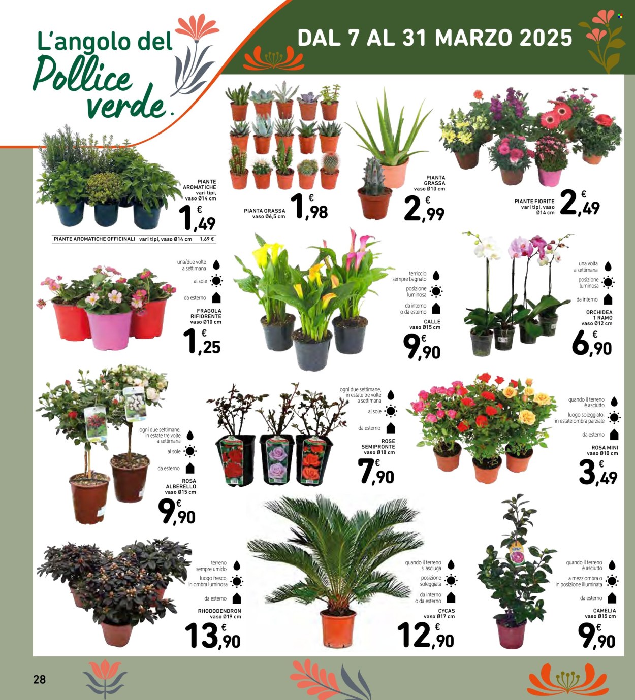 Volantino Spazio Conad - 11/3/2025 - 24/3/2025. Pagina 28