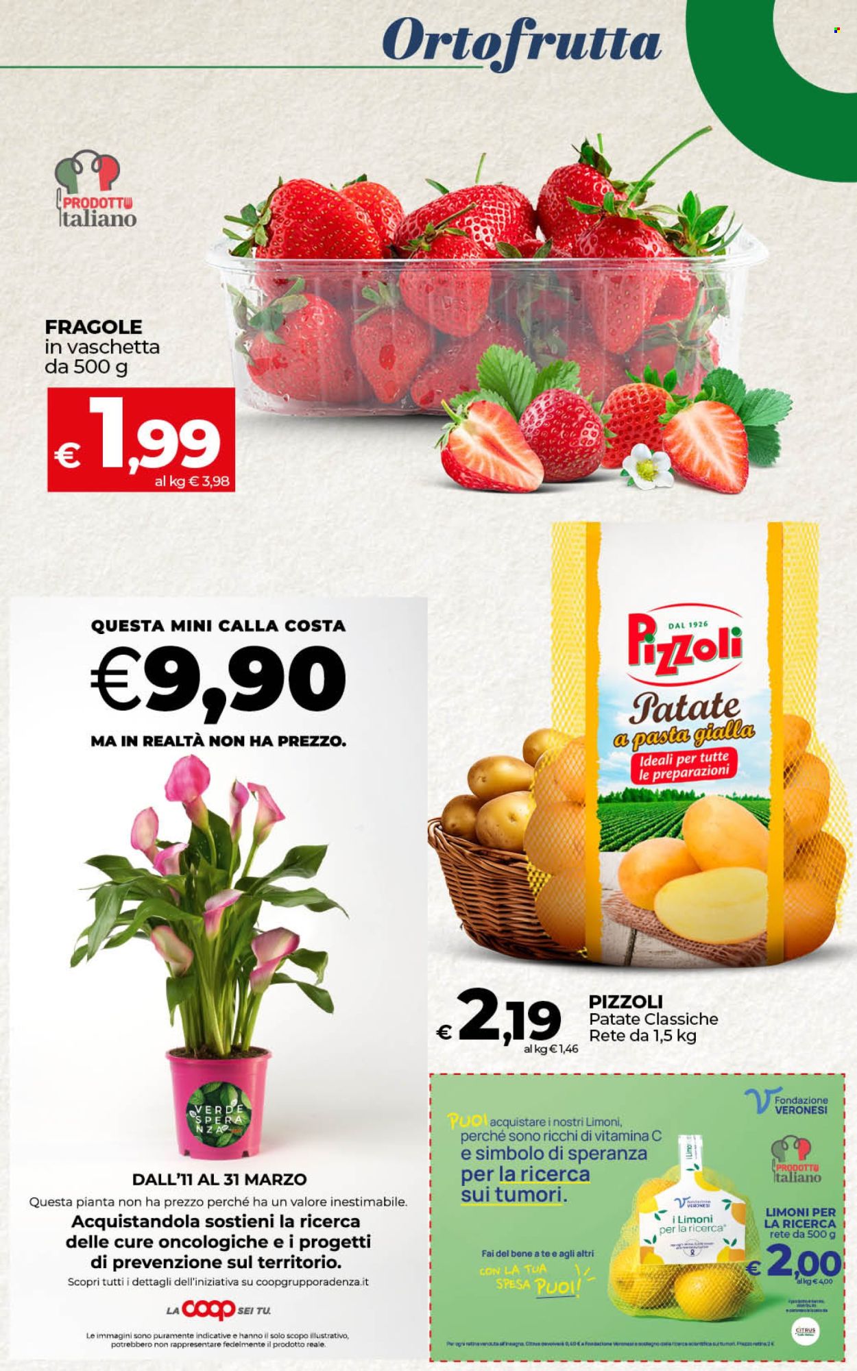 Volantino Coop - 11/3/2025 - 20/3/2025. Pagina 15