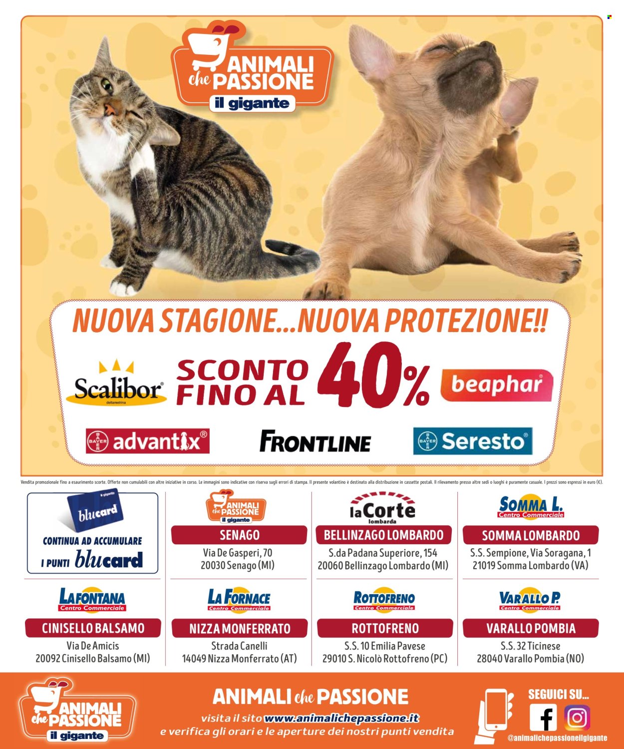 Volantino Il Gigante - 10/3/2025 - 6/4/2025. Pagina 8