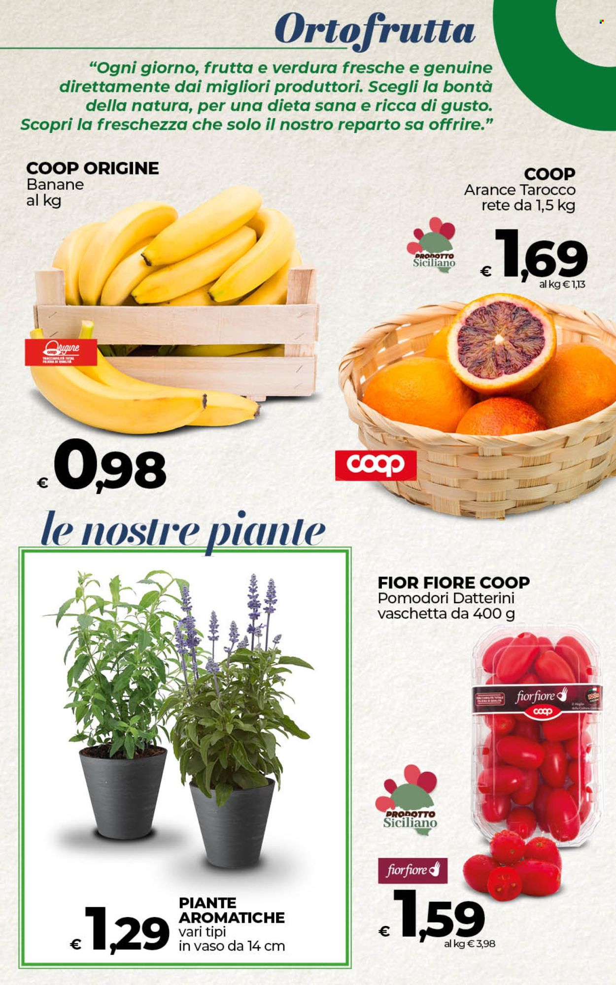 Volantino Coop - 13/3/2025 - 21/3/2025. Pagina 28