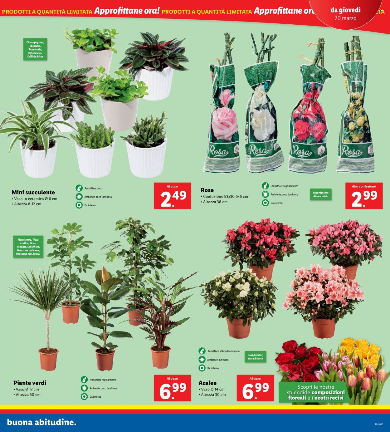Volantino Lidl - 17/3/2025 - 23/3/2025. Pagina 29