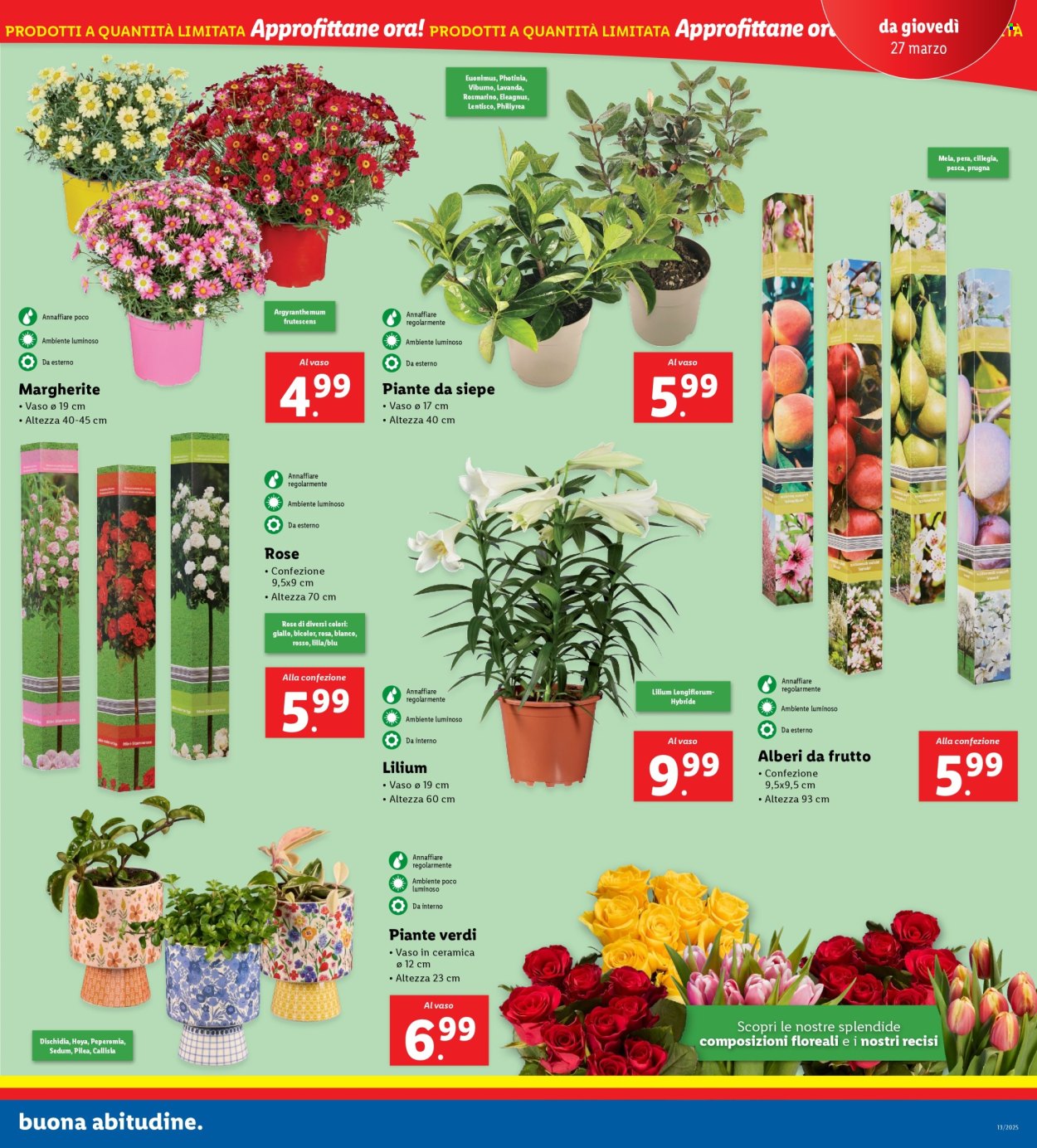 Volantino Lidl - 24/3/2025 - 30/3/2025. Pagina 31