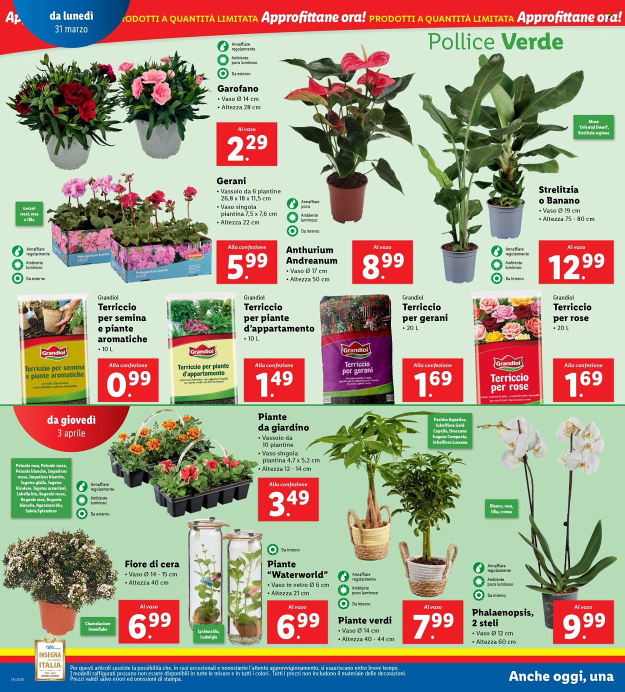 Volantino Lidl - 31/3/2025 - 6/4/2025. Pagina 32